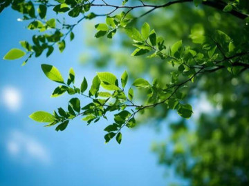 Eva tám - Muốn biết một gia đình nhiều may mắn, phước lành hay không, nhìn vào 2 chữ này là rõ