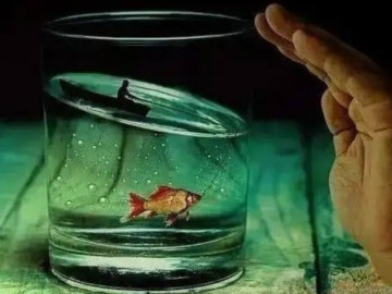 Eva tám - Trắc nghiệm tâm lý: Ai sẽ là quý nhân của cuộc đời bạn?