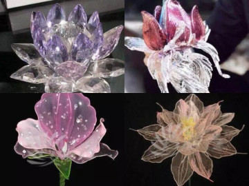 Eva tám - Trắc nghiệm tâm lý: Bạn muốn mang bông hoa may mắn nào về nhà nhất?