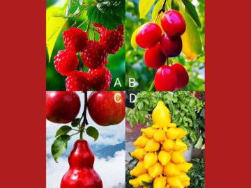 Trắc nghiệm tâm lý: Bạn có phải là người dễ bị lừa?