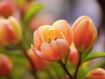 3 điều người khôn ngoan không chia sẻ với bất kỳ ai, kể cả cha mẹ, con cái hay bạn đời