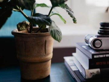 Người trả lời tin nhắn bạn như này, tránh xa sớm chính là khôn ngoan!