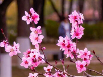 Đời người, điều gì là đắt giá nhất?