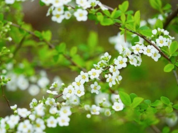 Người khiêm tốn trong 3 điều này thường không đơn giản, rất khôn ngoan và bản lĩnh