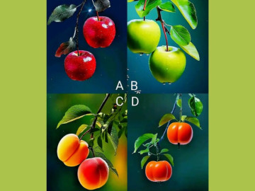 Eva tám - Trắc nghiệm tâm lý: Bạn sẽ ăn loại trái cây nào?