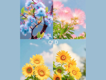 Trắc nghiệm tâm lý: Bạn đã sẵn sàng để mở ra cuộc đời mới tự do, rạng rỡ?