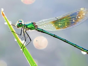 3 khung giờ sinh Âm lịch mang theo phúc khí: Trẻ lớn lên bình an, cuộc đời suôn sẻ hơn người