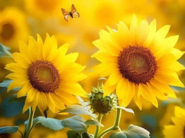 Eva tám - Sức hút thực sự của phụ nữ không nằm ở nhan sắc mà là 3 đặc điểm này