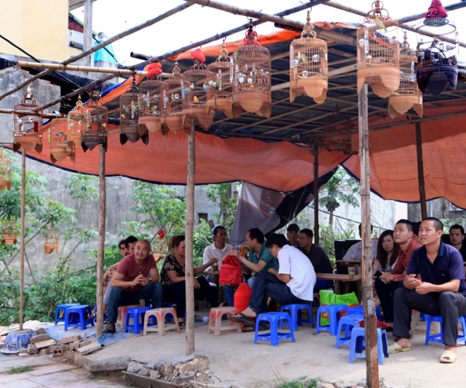 Khu chợ chim đặc biệt giữa lòng Hà Nội, đã có từ rất lâu, thu hút nhiều đại gia trong giới chơi chim cảnh