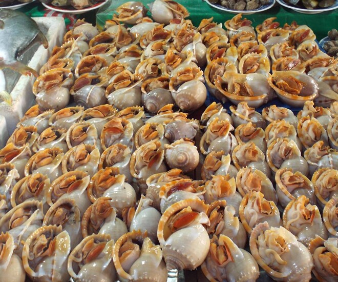 Ốc tỏi là đặc sản nổi tiếng ở đặc khu Phú Quốc, có hình dạng như củ tỏi