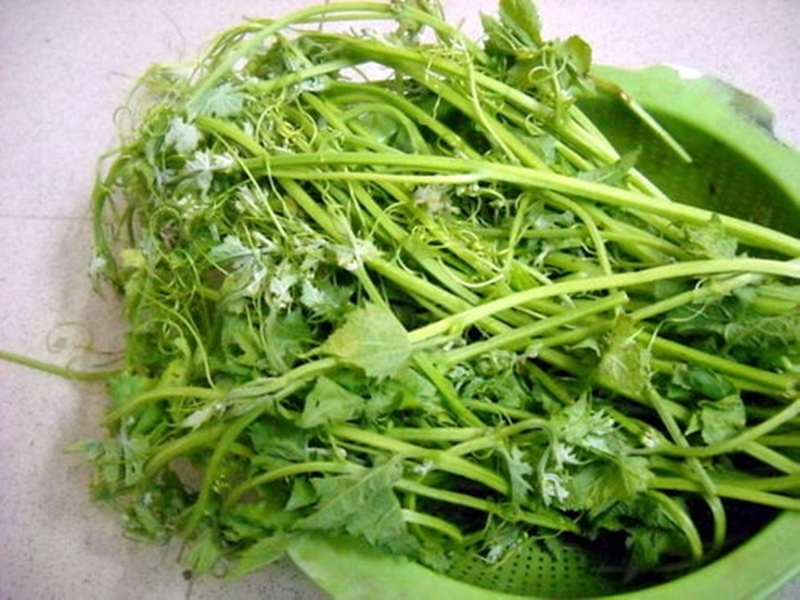 Ngọn mướp giòn, vị đặc trưng