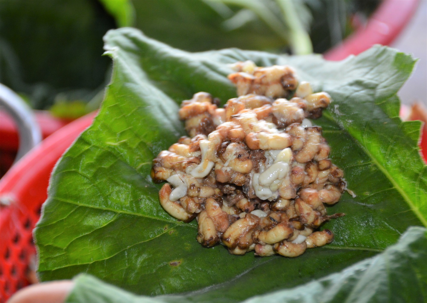 Nhộng ong hấp lá bầu cũng rất ngon