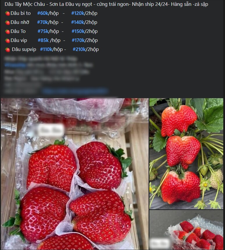 Không chỉ tại thị trường truyền thống mà ở cả chợ mạng dâu tây cũng được rao bán la liệt.