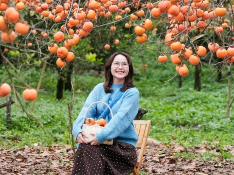 Săn hoa đào sớm ở miền Bắc: Tà Xùa "thêm gói" ngắm mây, đi Hà Giang tiện chụp áo dài