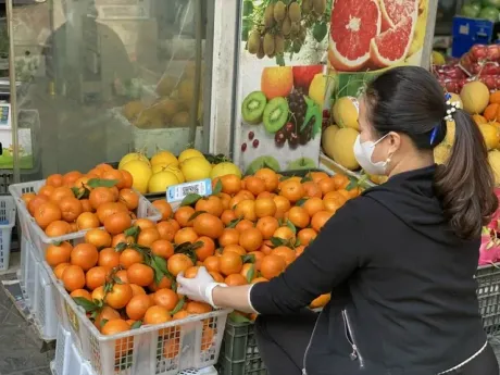 Tiết lộ của tiểu thương về nguồn gốc thực sự của loại quýt sim giá rẻ đang bán đầy thị trường