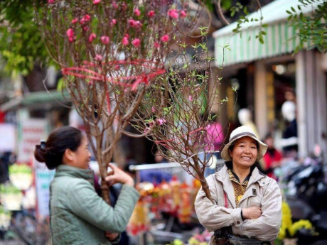 Thời tiết Tết Nguyên đán 2026 diễn biến thế nào?