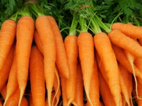 5 loại rau mùa đông giàu chất xơ tốt cho tiêu hóa