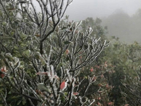 VIDEO: Băng giá xuất hiện trên đỉnh Mẫu Sơn