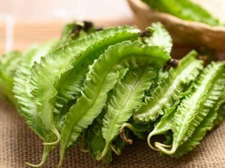 Loại quả Việt bề ngoài xanh lét, sần sùi lại là "vàng xanh" cả thế giới săn lùng, hỗ trợ kiểm soát đường huyết hiệu quả