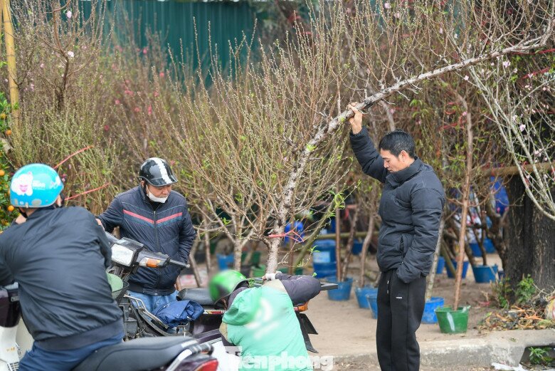 img src/upload/1-2026/images/2026-02-06/1770335345-tp-tieu-thuongddt-3392-width1390height927.jpg width660 /