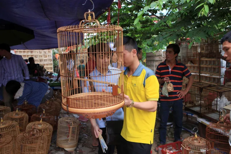 Khu chợ còn bán thức ăn cho chim và bán cả lồng chim để phục vụ nhu cầu của khách hàng