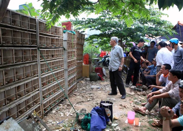 Tại chợ có nhiều loại chim khác nhau, cho người chơi thỏa sức lựa chọn sản phẩm ưng ý