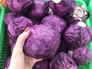 Sức khỏe - Loại rau đang vào mùa chợ Việt cực sẵn, giá rẻ mà chế biến được nhiều món tốt cho xương khớp, “hút mỡ tốt” và làm chậm lão hóa