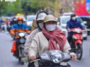 Tin tức - Miền Bắc hửng nắng giữa giá rét