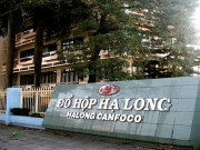 Tin tức - Vụ hơn 120 tấn thịt tả heo châu Phi tuồn vào nhà máy: Triệu tập lãnh đạo Công ty CP đồ hộp Hạ Long