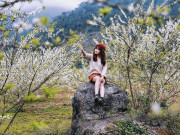 Lifestyle - Lịch trình ba ngày khám phá Mộc Châu dịp Tết Nguyên đán