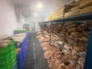 Tin tức - "Biến" 50 tấn thịt heo thành đặc sản bắp dê Australia, nhím, nai