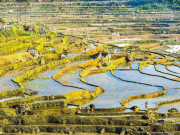 Lifestyle - Vẻ đẹp ruộng bậc thang Pù Luông mùa nước đổ