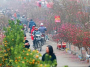 Tết Nguyên đán có khả năng xảy ra mưa nhỏ, mưa phùn