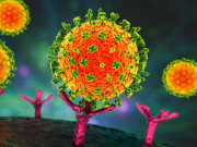 Sức khỏe - Bộ Y tế yêu cầu khoanh vùng, xử lý triệt để nếu xuất hiện ca bệnh do virus Nipah