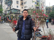 Tin tức - Đào rừng "xuống phố" Thủ đô ngày cận Tết, giá bán có đắt đỏ khi khởi điểm từ 120.000 đồng/cành?