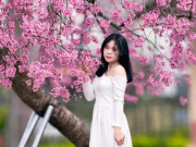 Lifestyle - Cây mai anh đào "siêu hot" ở Đà Lạt, hàng trăm người chờ check-in mỗi ngày