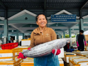 Tin tức - Cá về đầy khoang, ngư dân rộn ràng đón Tết