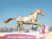 Lifestyle - 5 giống ngựa nổi tiếng đẹp và đắt đỏ: Có con trị giá 26 tỷ đồng, đích thị là thú cưng cho giới siêu giàu