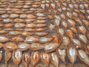 Lifestyle - Đặc sản mỗi năm chỉ có một mùa, xưa dành cho người nghèo, nay được dân thành phố ưa chuộng vì hương vị lạ