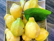 Lifestyle - Loại quả xưa không ai biết đến, nay thành đặc sản nổi tiếng có hương vị lạ, dân thành phố thích mê