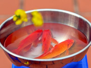 Tin tức - Cúng ông Công ông Táo có bắt buộc phải thả cá chép? Nhiều gia đình hiểu chưa đúng về phong tục này