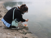 Tin tức - Những sai lầm khi thả cá chép tiễn Táo quân nhiều người mắc phải