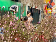 Đào mini giá vài chục nghìn đồng/cành hút khách chơi dịp Tết 2026