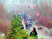 Tin tức - Tin tức 24h: Ngày 29 Tết Hà Nội ấm gần 30 độ C, hôm nào có thể có mưa do không khí lạnh?