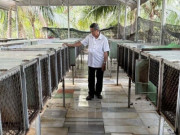 Tin tức - Nuôi chồn hương ở phường Bình Minh, tỉnh Tây Ninh kiểu gì mà ông nông dân này có lời 500 triệu/năm ngon ơ?