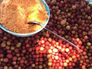 Lifestyle - Loại quả dại nổi tiếng ở Khánh Hòa, xưa không ai bán nay thành đặc sản lạ được dân thành phố "ưa chuộng"