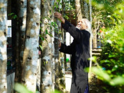 Tin tức - Cụ ông 98 tuổi kể chuyện mở lối nghề trầm, đưa xã nghèo thành "thủ phủ" trăm tỷ