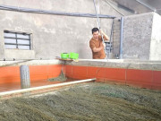 Tin tức - Con đặc sản lặn ngụp dày đặc trong bể, nuôi thành công, anh nông dân Nghệ An nói có từng nào cũng bán hết