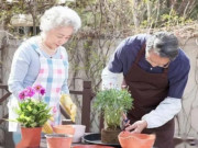 Sức khỏe - 5 đặc điểm của người có tuổi thọ cao: Đặc điểm thứ 4 thường bị nhiều người bỏ qua