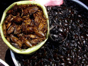 Lifestyle - Ở Ninh Bình có món nhậu nhìn "nổi da gà" nhưng lại là đặc sản ngon nức tiếng, bao người muốn ăn thử